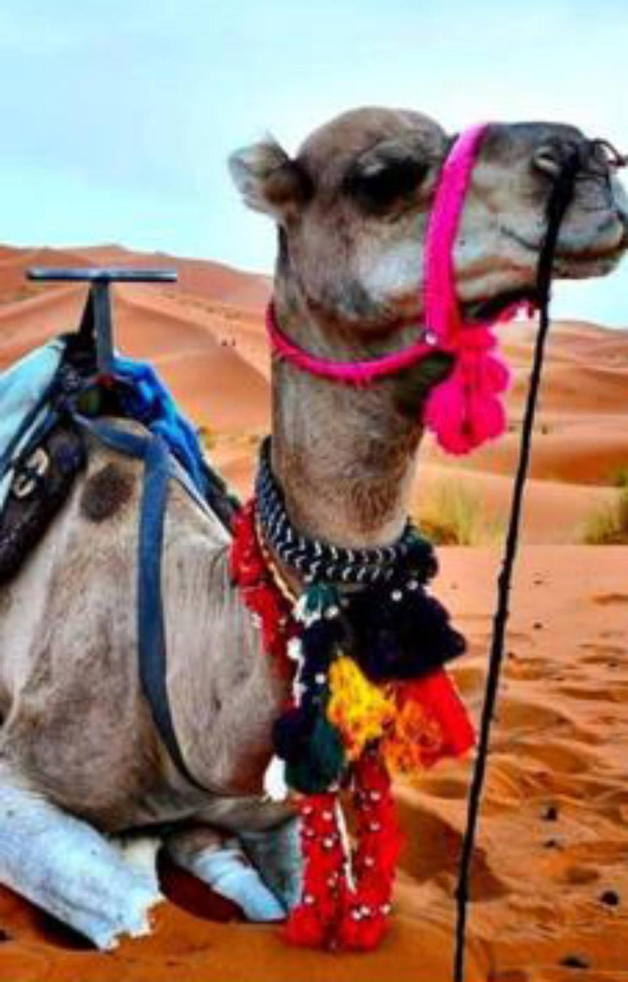 Luxury Desert Camp Merzouga Ngoại thất bức ảnh